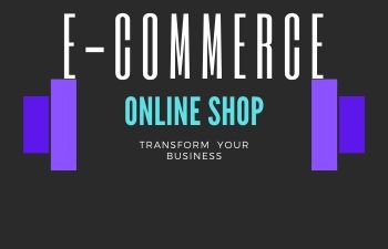 Ecommerse Website development , Solaris Infotech